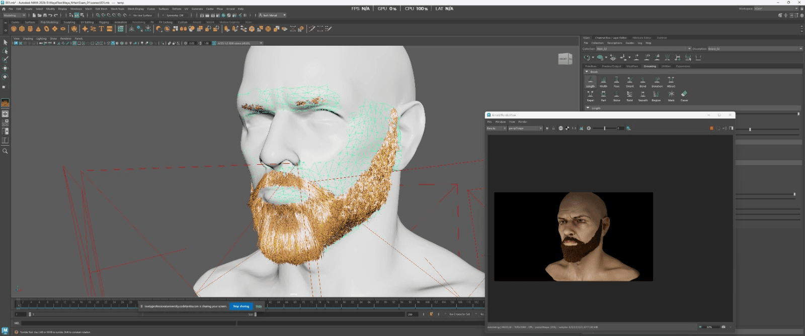 Visual archive image 8